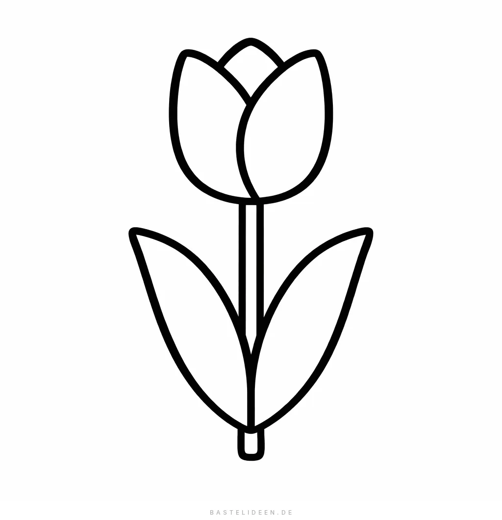 Einfache Tulpe mit zwei Blättern