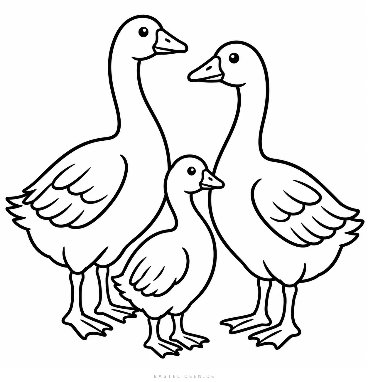 Drei Gänse stehen nebeneinander