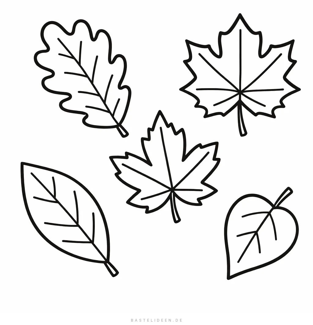 Fünf verschiedene Herbstblätter - Eiche, Ahorn, Birke