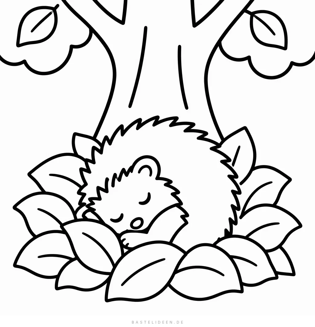 Schlafender Igel eingerollt im Laubhaufen unter einem Baum