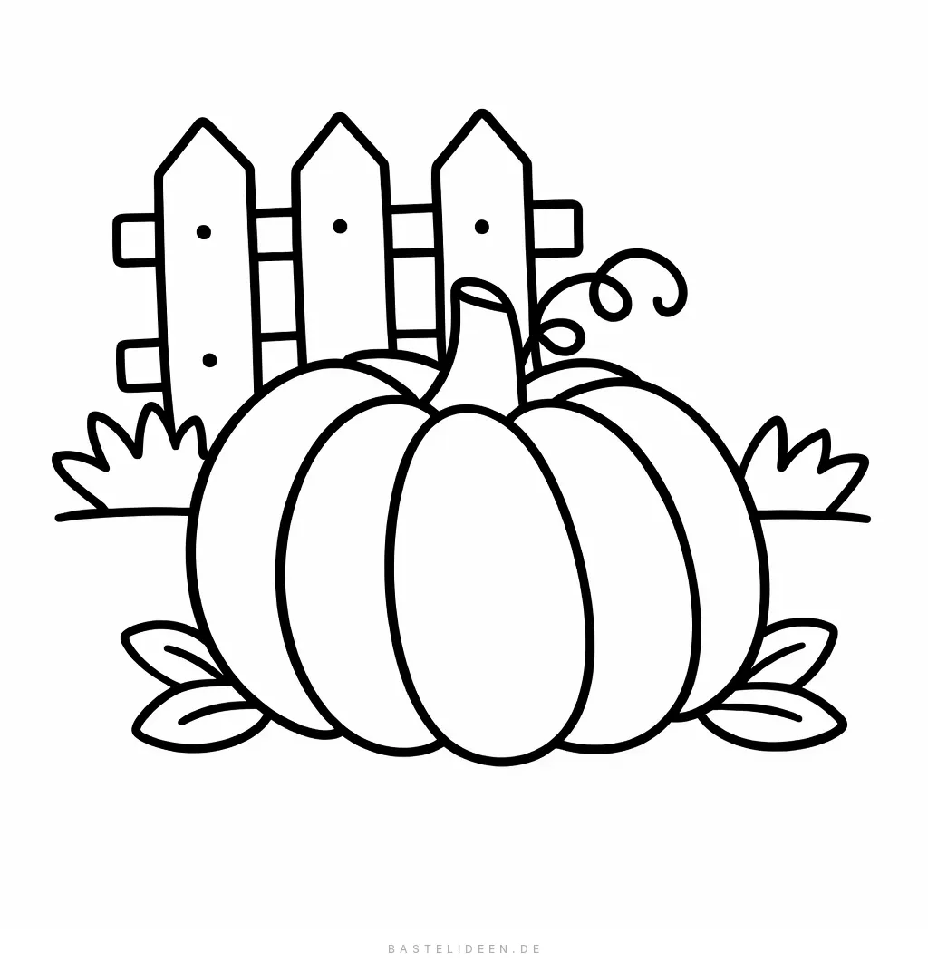 Kürbis im Garten mit Holzzaun