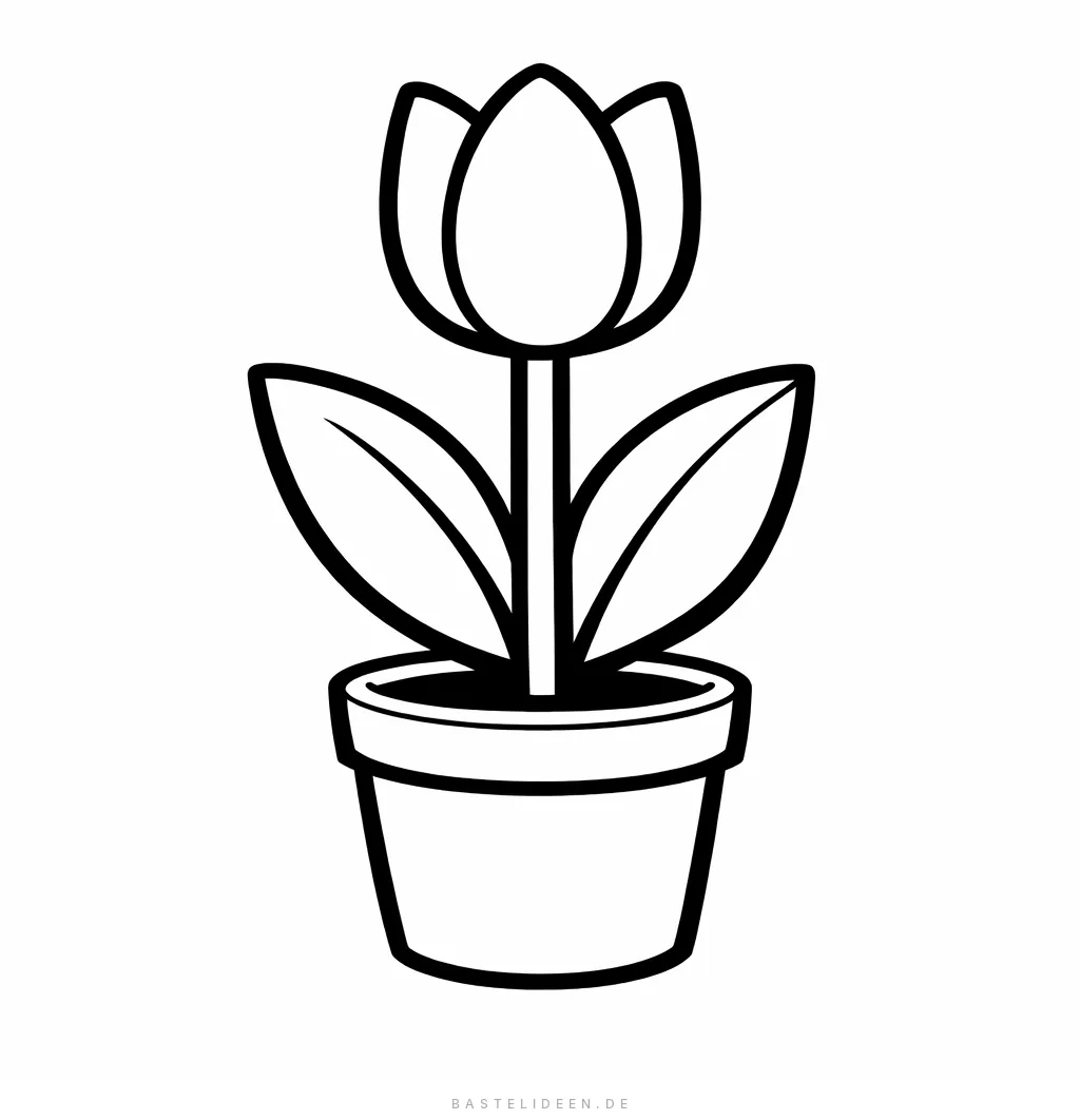 Einfache Tulpe mit zwei Blättern in einem Blumentopf