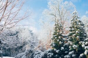 Bastelideen für Kinder im Winter